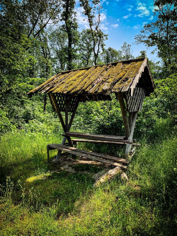 Gaestehaus An Der Berbke Arnsberg Exterior foto
